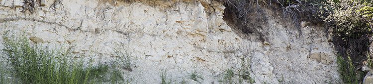 decorative photo of roadside outcrop