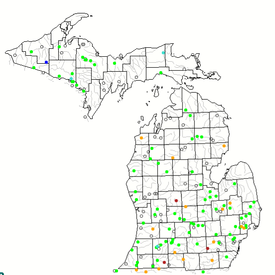 Screenshot of Michigan USGS stream gauges