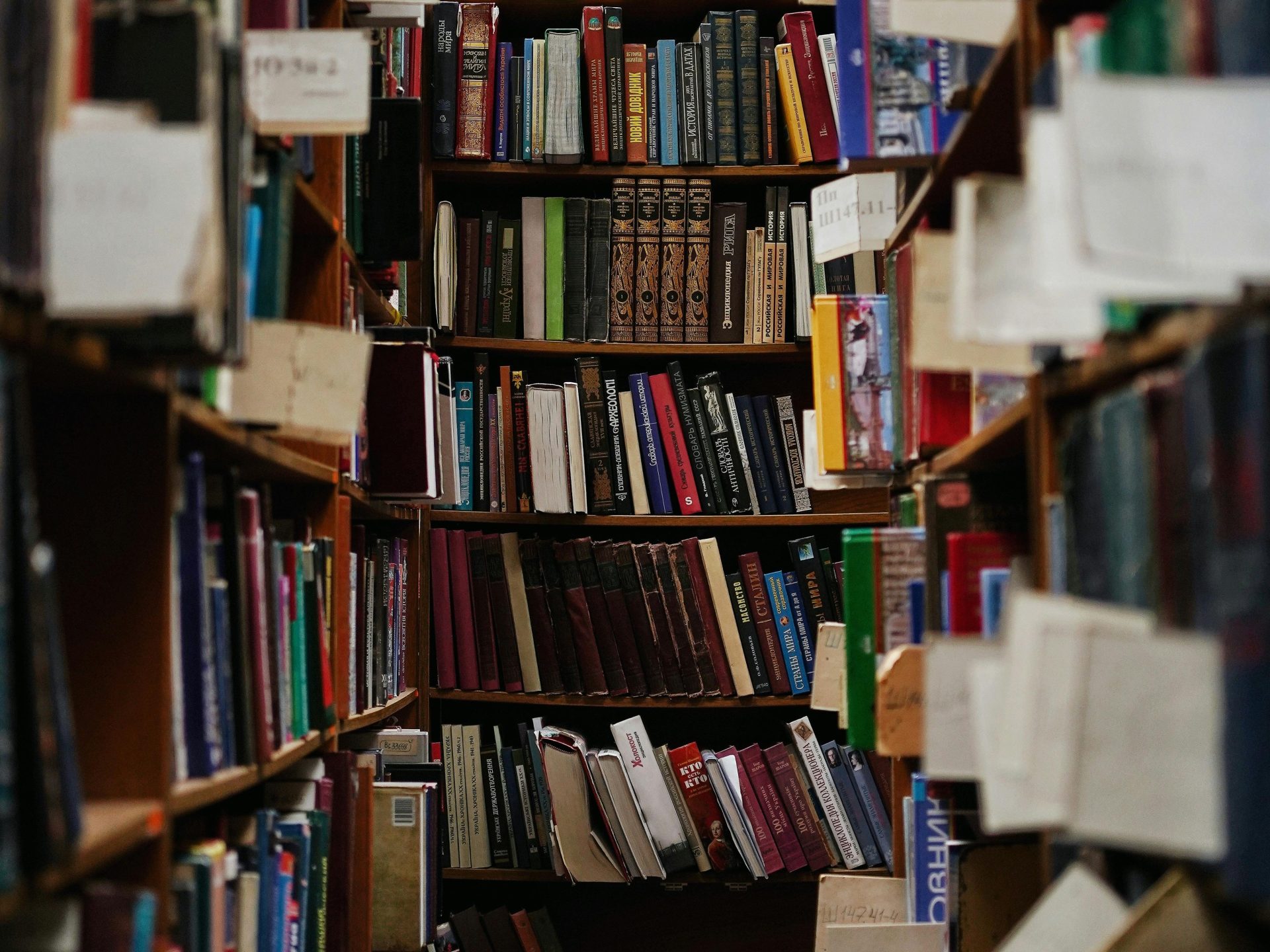 View of publications and books on shelves