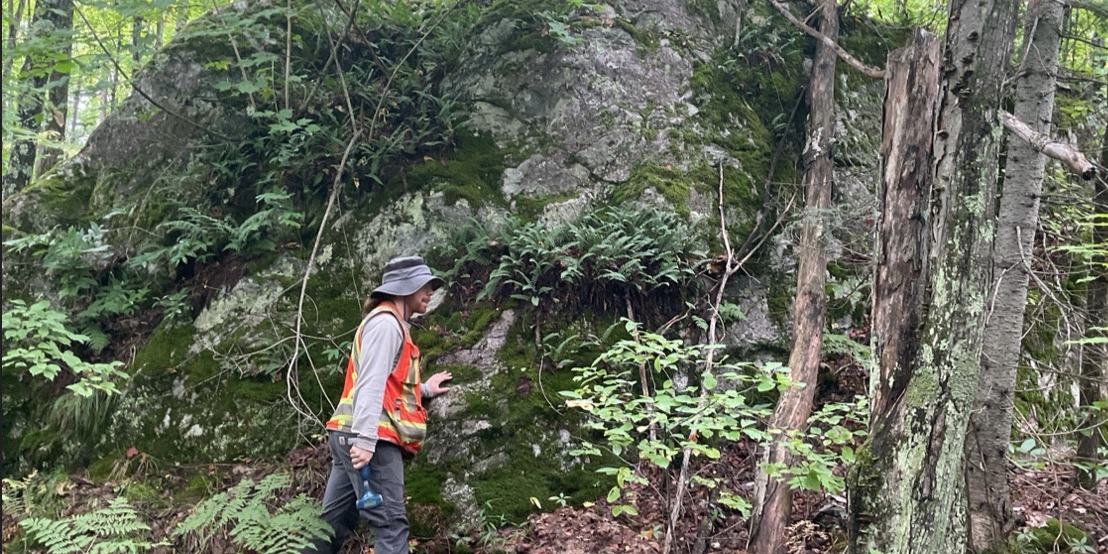Rock outcrop of biotite gneiss from the Watersmeet Dome.