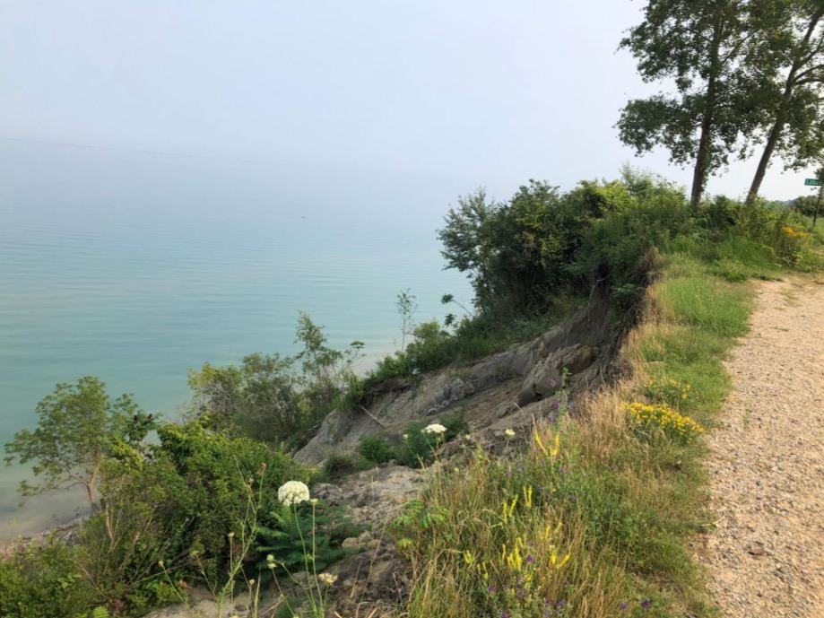 View of a Lake Michigan bluff showing signs of coastal erosion.