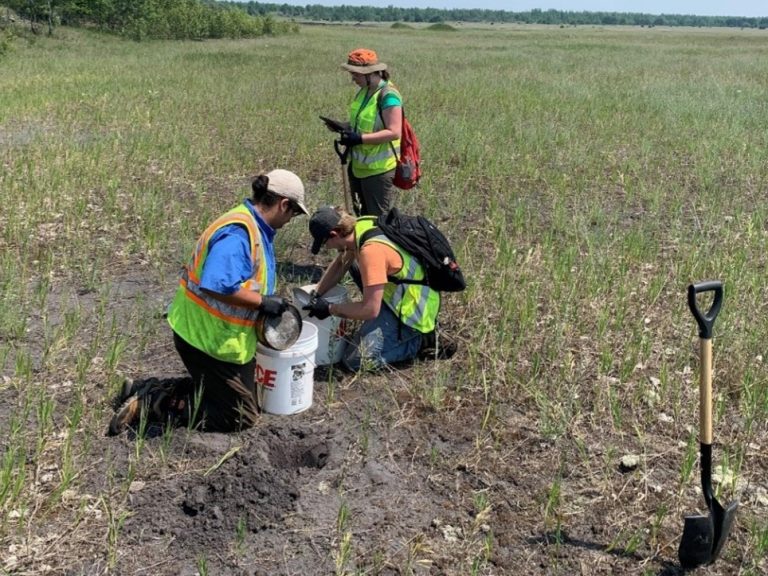 Summer geologic technicians sampling Republic Mine tailings.
